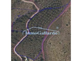 Terreny residencial a Playa del Rincón. Parcela en venta en rincón