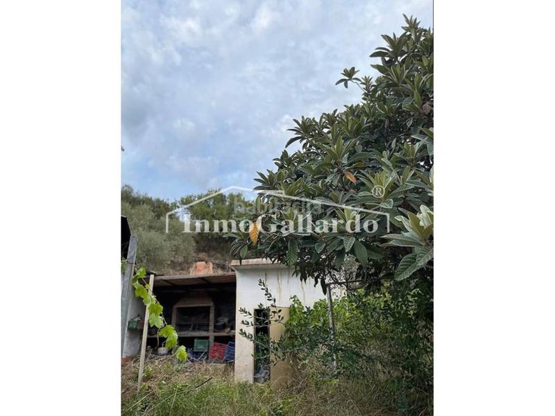 Foto 0c428b81-8795-4520-b81d-606fca6b0dca. Casa un rincón de paz , málaga. en Comares