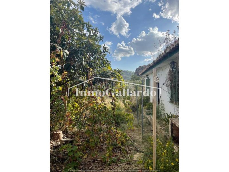 Foto a63d2ffb-9e44-4f3b-8efa-1aa0695cb286. Casa un rincón de paz , málaga. en Comares
