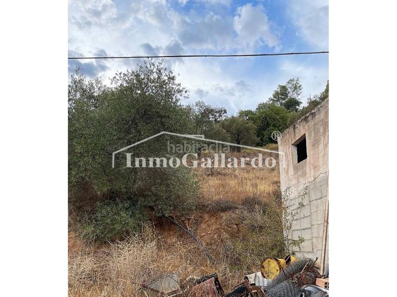 Foto a82ccc8a-91f5-4b4d-8e26-19e939987a32. Casa un rincón de paz , málaga. en Comares