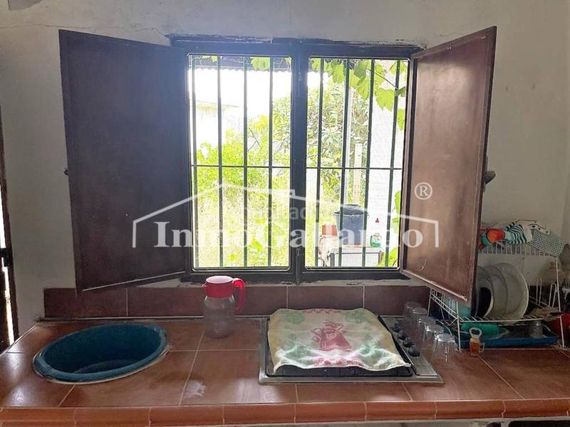 Foto e435955d-74fd-4a54-b732-7eb7ff06dfaf. Casa un rincón de paz , málaga. en Comares