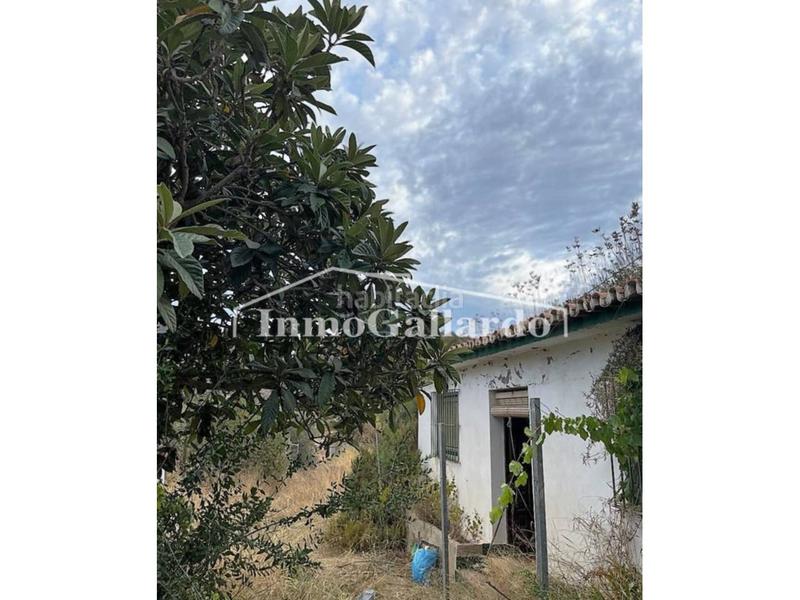 Foto e9874248-6832-4351-ac1c-39e68fad0e86. Casa un rincón de paz , málaga. en Comares