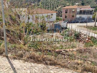 Terreny residencial a Benamocarra. Oportunidad de comprar solar urbano o parcelas.