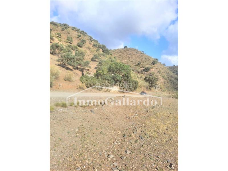 Foto a0a6fd5f-47d0-42de-b07f-9a4d771c6932. Finca rústica terreno rústico en Playa del Rincón Rincón de la Victoria