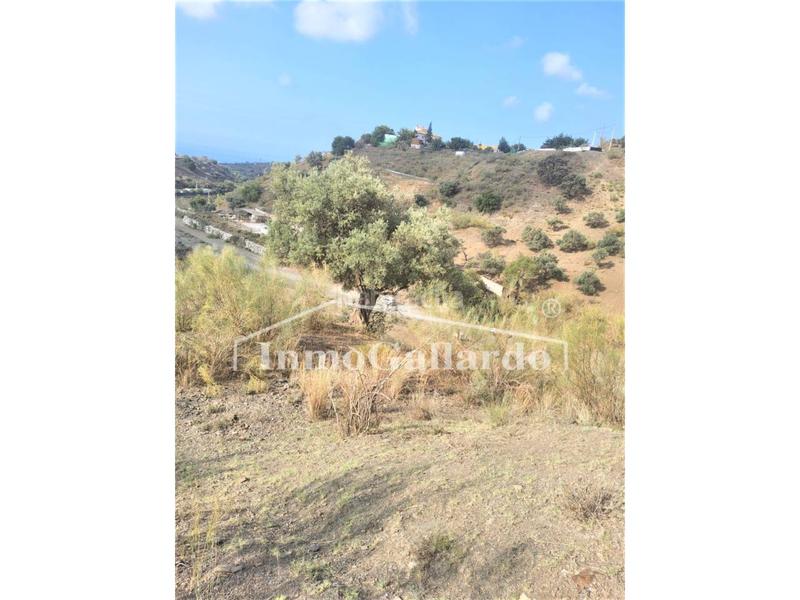Foto ac6fbe17-0394-4e9c-91d0-4a48539cbfdf. Finca rústica terreno rústico en Playa del Rincón Rincón de la Victoria