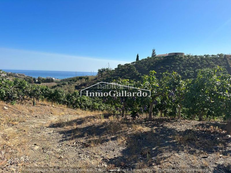 Foto bd4a6e14-cbb1-4df8-b049-daa5a3f8b0de. Residential plot in Benajarafe