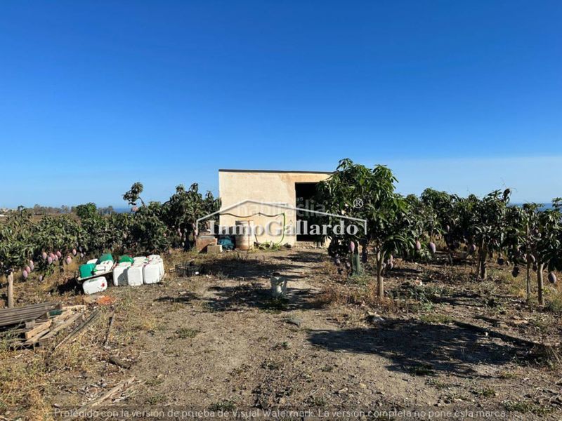 Foto cf41f9f2-ef31-466f-895f-2c162054b370. Residential plot in Benajarafe