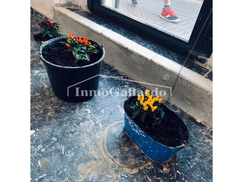 Foto bbe5be18-c8bb-4464-9129-d9f0dd07eaee. Location local commercial dans Pedregalejo - Morlaco Málaga