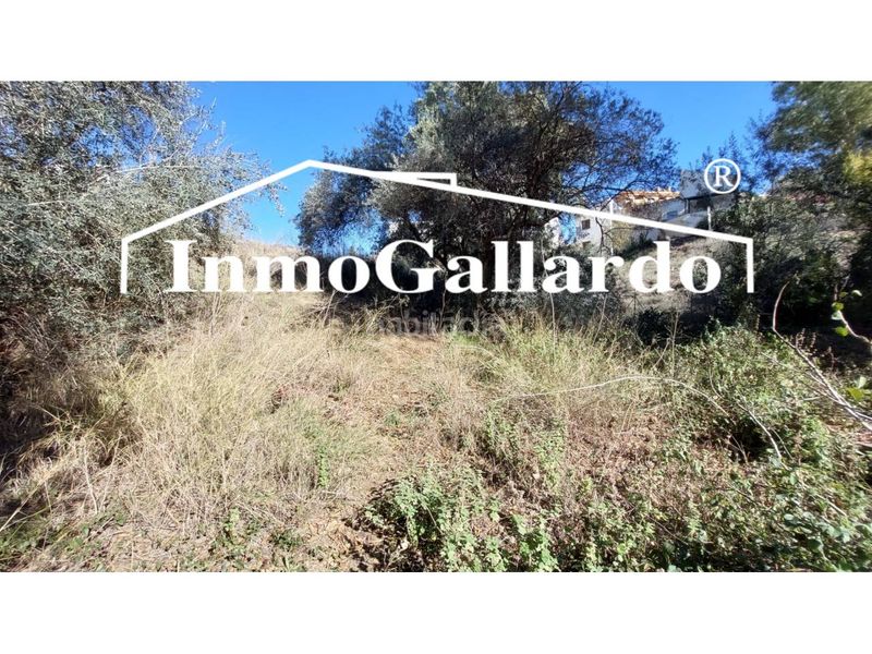 Foto b7be9acb-2b93-4428-8917-35d8a3b0015f. Terreny residencial a Jarazmin Málaga
