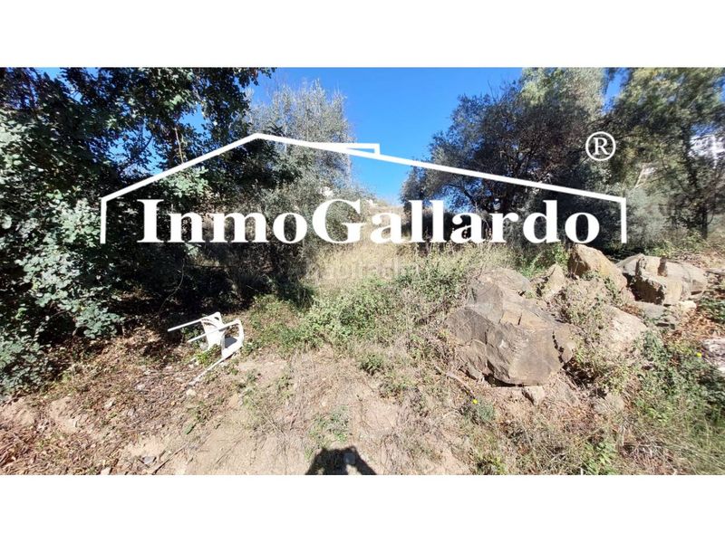 Foto d28fade8-b266-4de0-a8e2-c2dad65738a1. Terreny residencial a Jarazmin Málaga