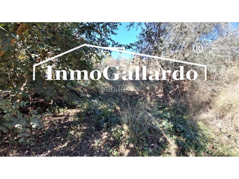 Foto ef79c13e-2653-48b0-84cf-89ddad5b255c. Terreny residencial a Jarazmin Málaga