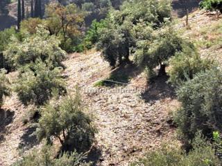 Propriété à Totalán. Terreno en venta en totalán