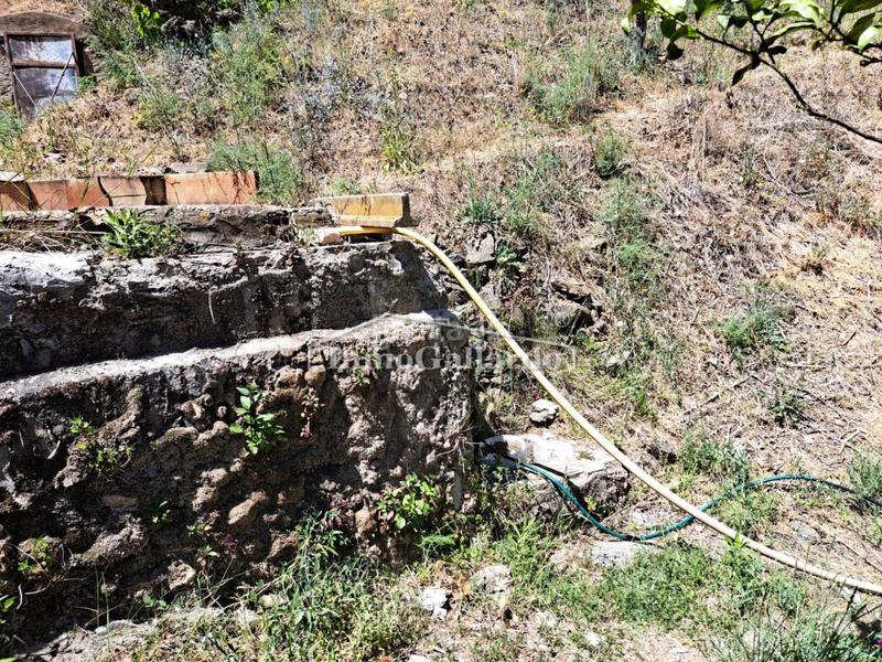 Foto eab88624-19f0-46e8-96f3-2fcaa2e54cc3. Finca rústica a Totalán