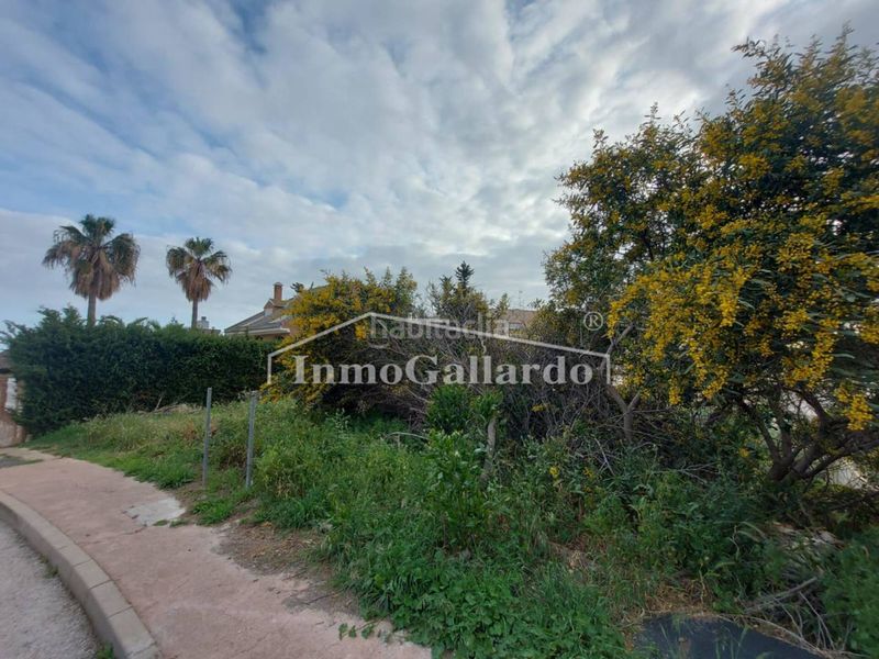 Foto a531907f-4255-47a5-a86b-6cc9f28aa10c. Finca rústica a Moclinejo