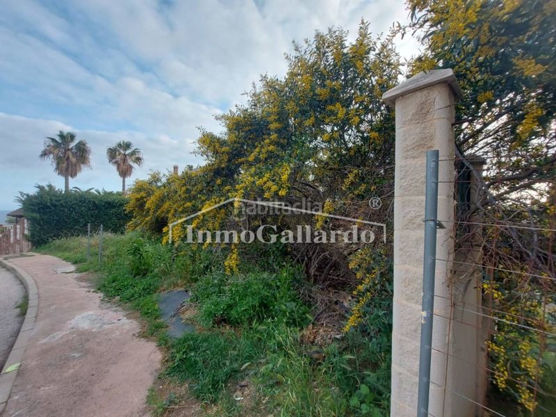 Foto a5853bc0-6cdd-4792-8554-4f5f63cfe3bf. Finca rústica a Moclinejo