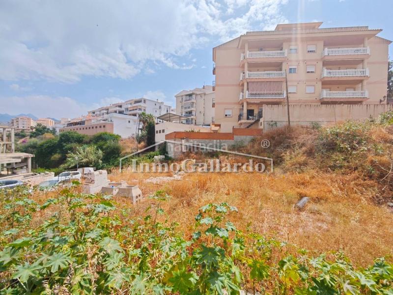 Foto c0f9cd17-5280-46b6-bdc5-e24b95093026. Finca rústica a Torrox pueblo Torrox