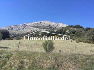 Propriété  Sierra de carmolo. Terreno en venta en sierra caramolo