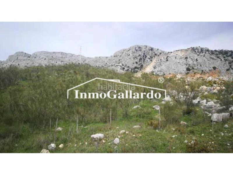 Foto 2d64eac2-17ee-4d91-91a3-9cabff9b486f. Landgut in Alfarnatejo