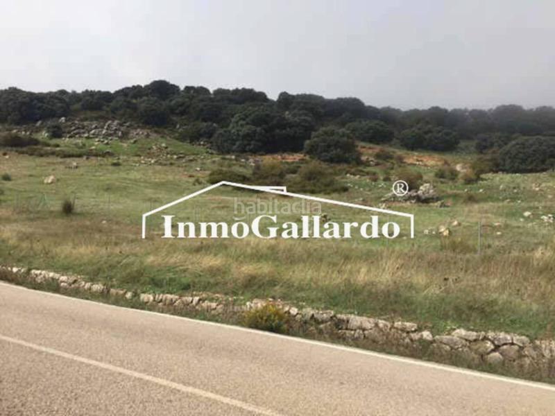 Foto 38554b75-ceea-48ff-9400-8c4765895e8f. Landgut in Alfarnatejo