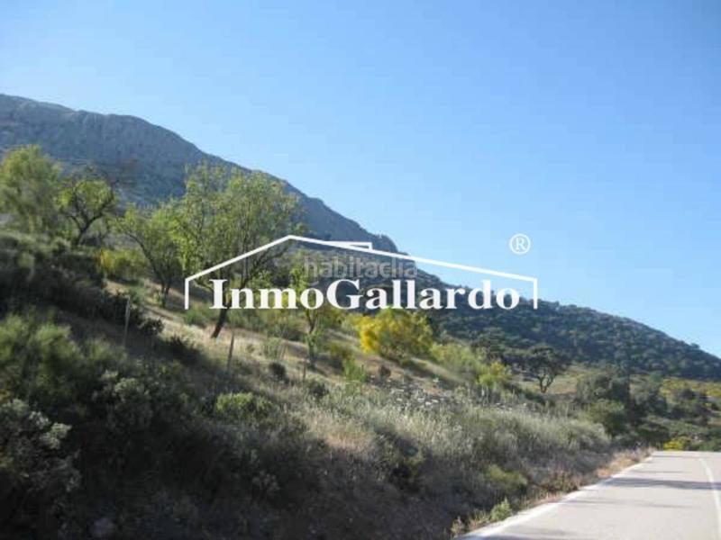 Foto 3e26410f-b4fe-4041-b464-30fa6248affa. Landgut in Alfarnatejo