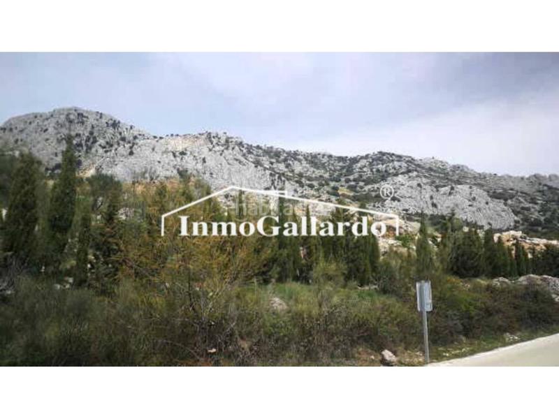 Foto 8413f709-28fa-4abc-9ca2-3f89af956ad0. Landgut in Alfarnatejo