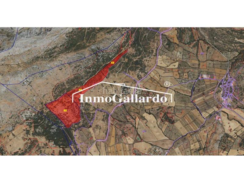 Foto 9fb64f61-a4de-407d-bfba-56aedbfe766b. Landgut in Alfarnatejo