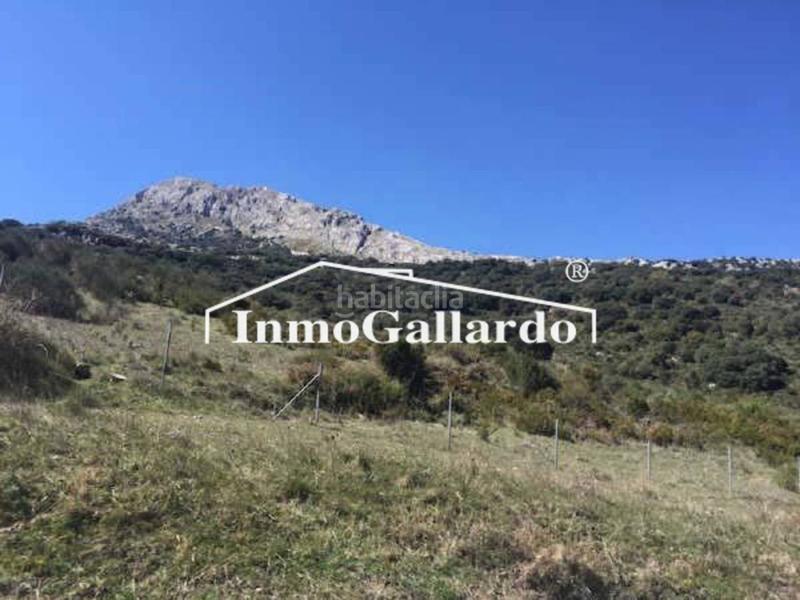 Foto ce776c37-2011-4508-9f6d-51a3853195bd. Landgut in Alfarnatejo