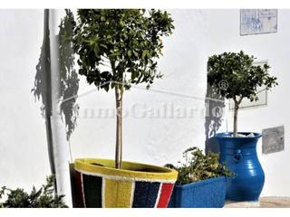 Haus in Moclinejo. Casa en venta en valdés moclinejo