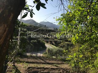 Haus en lora. Venta de finca rstica de 5.000 m