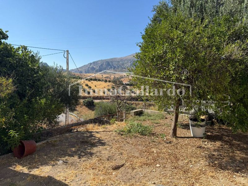 Foto d2d5cc36-803e-41a6-b9df-e76c9f16a4ee. Casa amb aparcament a Álora