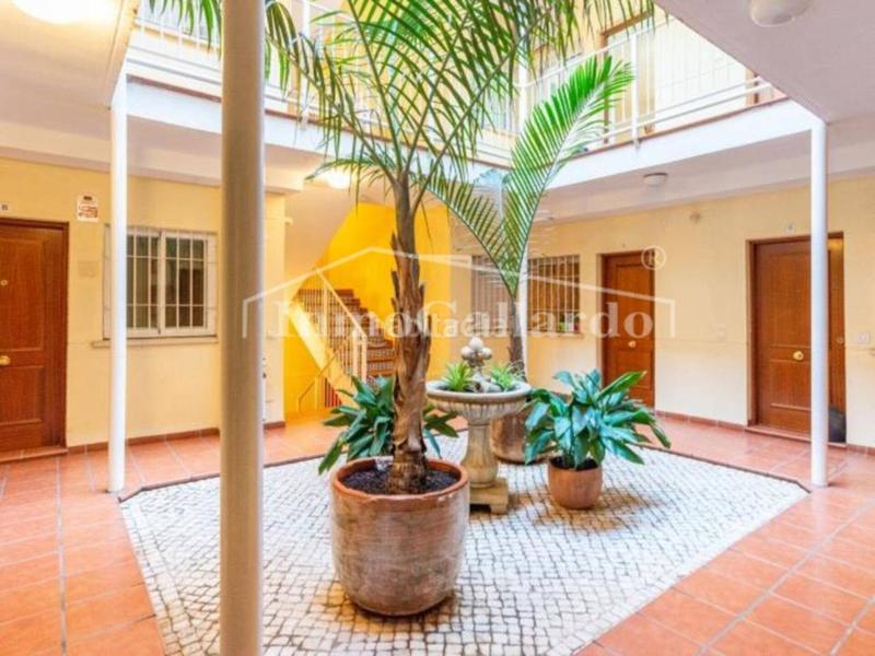 Foto 3bd9dfce-d23f-4590-b4bb-6f242a1ce1a3. Piso encuentra tu nuevo hogar en el corazón . en La Goleta - San Felipe Neri Málaga