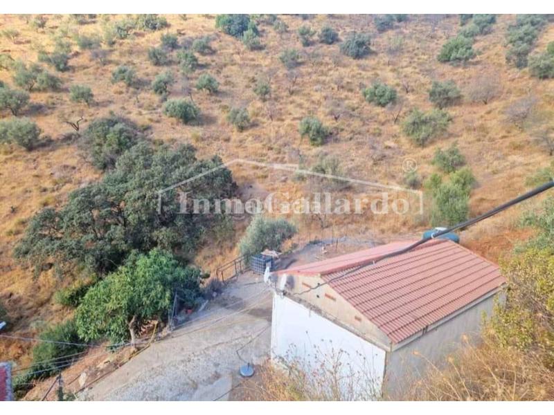 Foto 2b67339f-6845-4825-a8a6-05ab80cbc609. Casale con parcheggio in Totalán