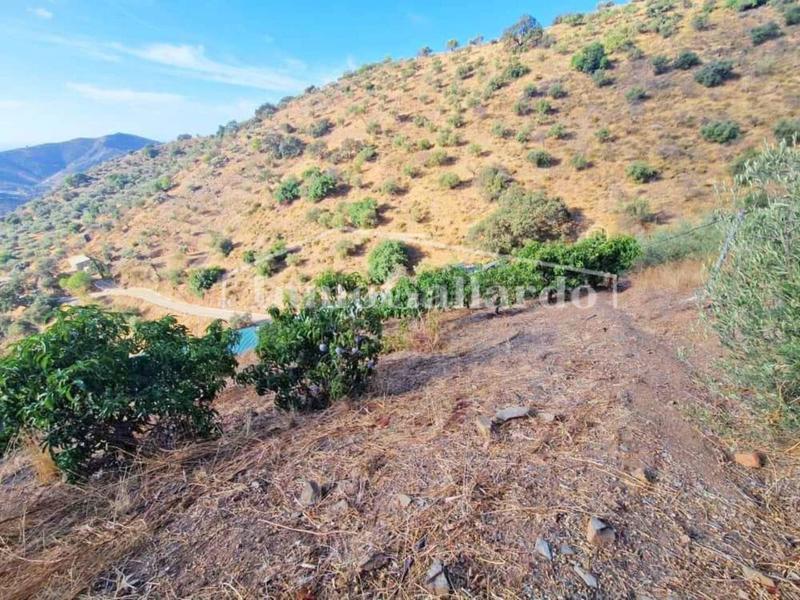 Foto 35431b18-c6f8-4ee7-af58-d8faa79739f0. Casale con parcheggio in Totalán