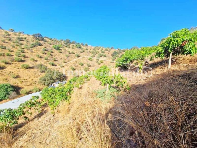 Foto d7bfe4fd-7c24-49da-a92e-e9faabc4c0d0. Casale con parcheggio in Totalán