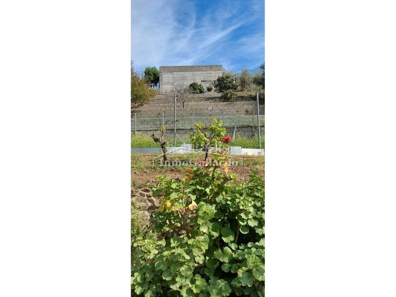 Foto 55a9510d-2ee3-483d-8f07-192cab1d7306. Finca rústica a Diseminados Rincón de la Victoria