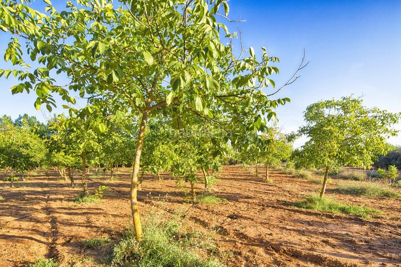 Foto c9c4ee2c-b23d-48dd-ba91-aa751184996e. Bauernhof mit parking pool in Casco Histórico Ronda