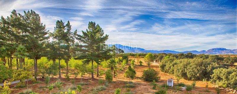 Foto 0e12604b-9ce6-4ffd-a574-79b3c869c25c. Casale con parcheggio piscina in Casco Histórico Ronda