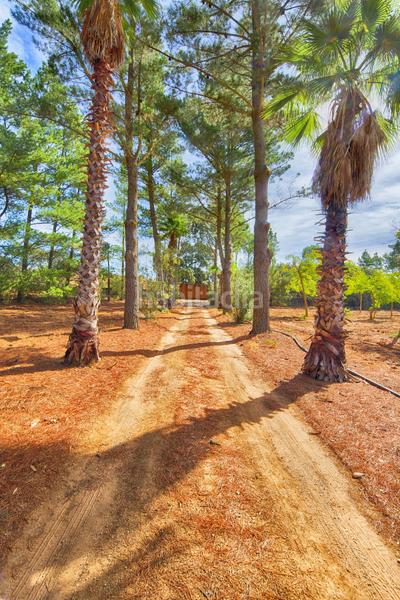Foto 29b488fb-fc8e-4fa5-abcf-21cfb76298f9. Casale con parcheggio piscina in Casco Histórico Ronda