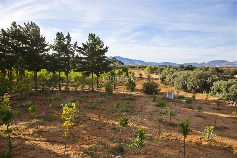 Foto f578531b-d484-4e19-9b00-223795877d59. Country house with parking pool in Casco Histórico Ronda