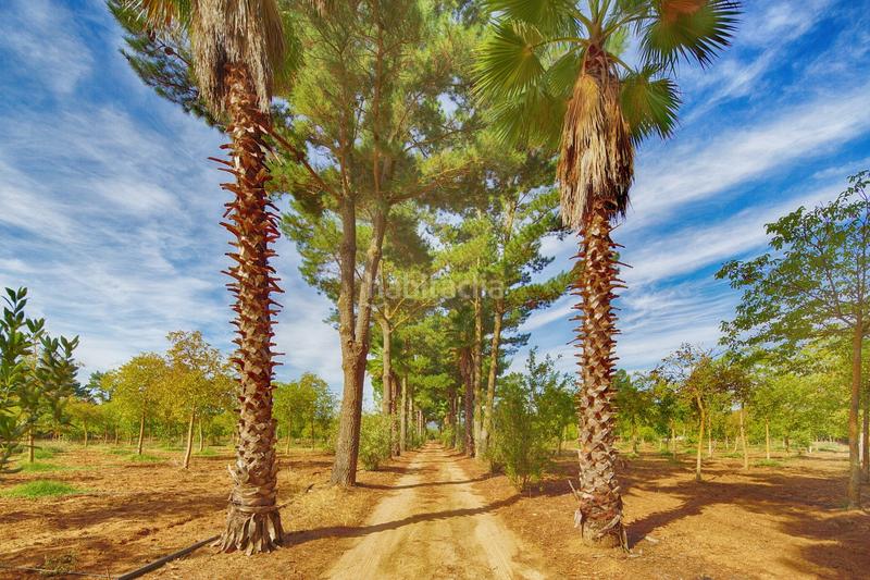 Foto 37a4dbc7-671d-4b5b-8146-53137b681f81. Masía en Casco Histórico Ronda