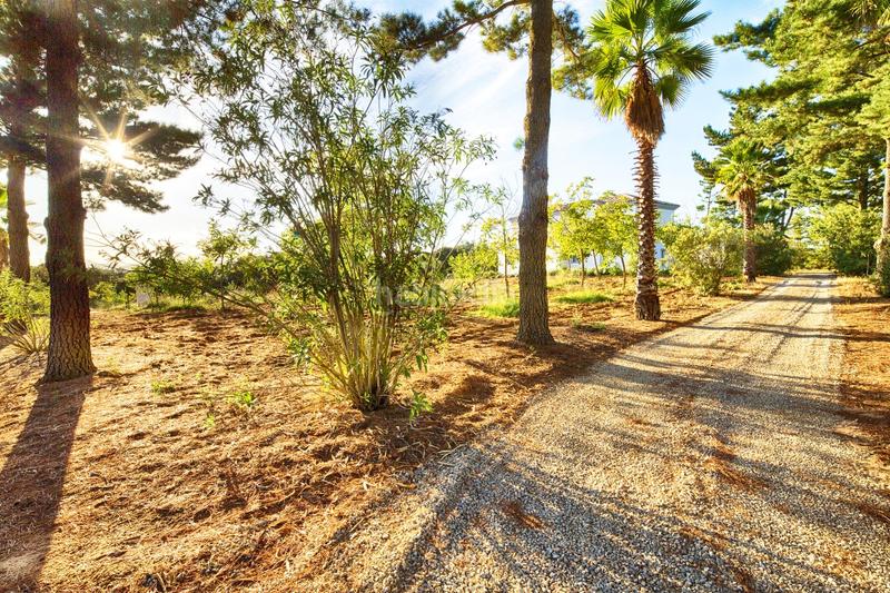 Foto 53c05d28-3a87-4bae-b822-b4036dc0d695. Masía en Casco Histórico Ronda