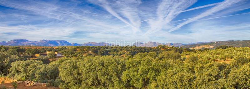 Foto e2590cfc-65fc-4a38-a4c8-00bfddf99edb. Masía en Casco Histórico Ronda