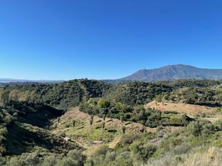 Terreny residencial a Villacana - Costalita - Saladillo. Increíblemente hermosa parcela de 2.537 m2, con impresionantes v