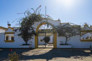 Mas à San Martín del Tesorillo. Gran finca cortijo, 7 dormitorios, 7 baños, 350 hectáreas de luj