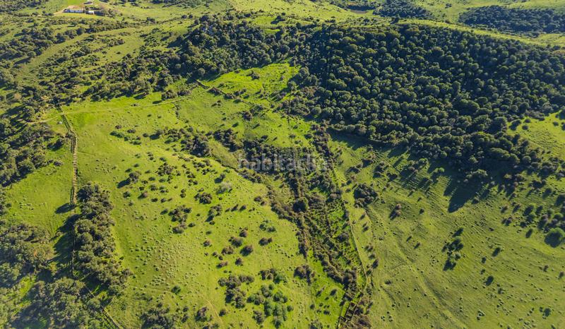 Foto 06b96250-c552-4750-a13e-d5272f09111f. Masía gran finca cortijo, 7 dormitorios, 7 baños, 350 hectáreas de lujo viviendo con infinitas posibilidades, . en San Martín del Tesorillo