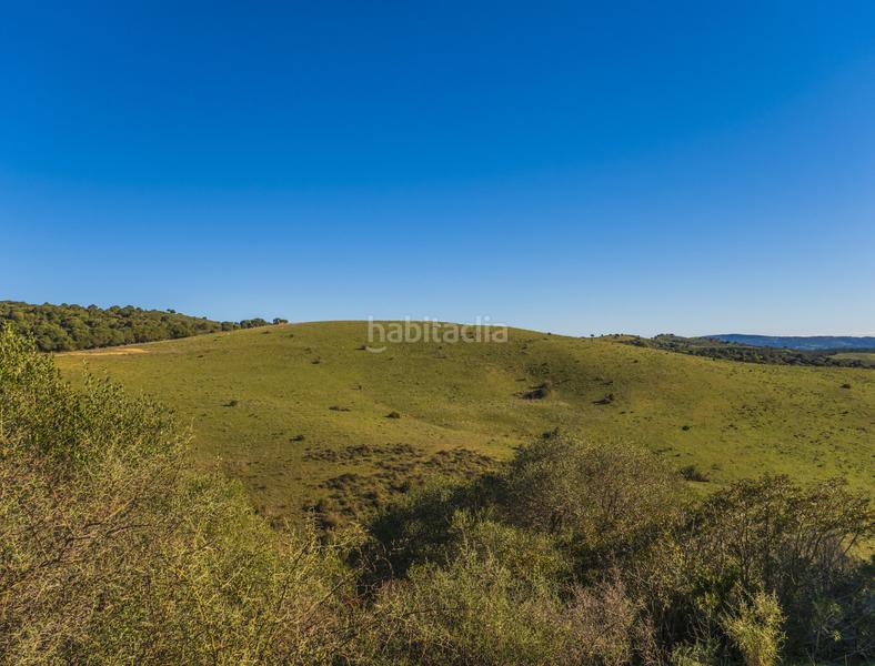 Foto 0a11a6d5-1335-44fe-bba7-475a1adea0f6. Masía gran finca cortijo, 7 dormitorios, 7 baños, 350 hectáreas de lujo viviendo con infinitas posibilidades, . en San Martín del Tesorillo