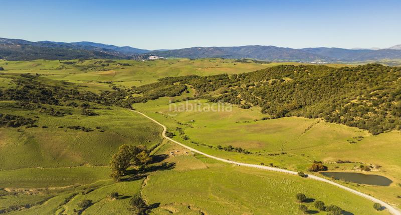Foto 4d7e0a29-6e70-4967-b501-b4c478fd00ec. Masía gran finca cortijo, 7 dormitorios, 7 baños, 350 hectáreas de lujo viviendo con infinitas posibilidades, . en San Martín del Tesorillo