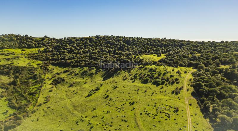 Foto 5a63e012-e783-4dac-8423-08aa97a09622. Masía gran finca cortijo, 7 dormitorios, 7 baños, 350 hectáreas de lujo viviendo con infinitas posibilidades, . en San Martín del Tesorillo