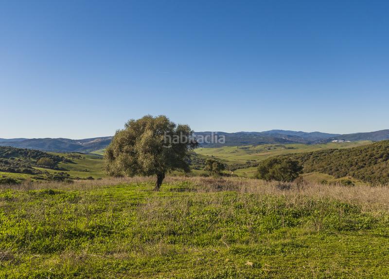 Foto 5d2d23a9-21ab-4524-9775-a2cb01e8714b. Masía gran finca cortijo, 7 dormitorios, 7 baños, 350 hectáreas de lujo viviendo con infinitas posibilidades, . en San Martín del Tesorillo