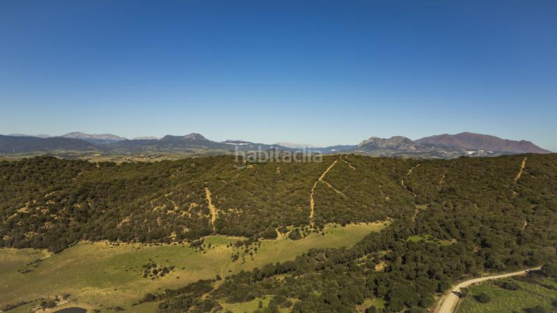 Foto 7c39204e-81fd-4208-9c81-8f4650e502e6. Masía gran finca cortijo, 7 dormitorios, 7 baños, 350 hectáreas de lujo viviendo con infinitas posibilidades, . en San Martín del Tesorillo
